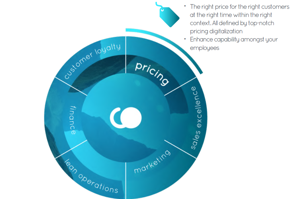 TheConsultants Management Expertise - Pricing